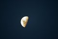 BRIGHT HALF MOON IN A DARK SKY Royalty Free Stock Photo