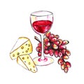 Bright hand drawn watercolor wine design elements in vino veritas verity in wine. Cheese, olives, grapes glass, lettering