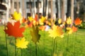 Bright handmade metal colorful maple leaves autumn garden decoration sticked into ground with blurred grass and woods background. Royalty Free Stock Photo