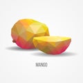 Bright Healthy Mango Fruit Concept