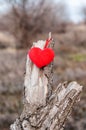 Bright heart attached to the February branch Royalty Free Stock Photo