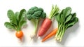 Root Vegetables and Greens Assortment Royalty Free Stock Photo