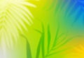 Bright Holographic Gradient Background with Palm Leaves. Abstract Bg with Blurred Tropical Elements Overlay