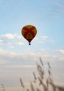 A bright balloon against a blue cloudy sky. In the foreground is blurred ears Royalty Free Stock Photo