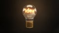 Bright Idea 3D Incandescent Light Bulb