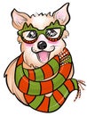 Bright illustration with a dog corgi puppy holiday cartoon style children`s poster new year`s scarf and glasses in christmas