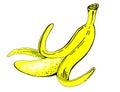 Bright illustration of an open banana.