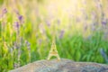 Bright image of a miniaturized eiffel tower with lavander fields in background in day . french culture . Royalty Free Stock Photo