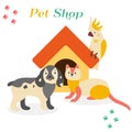 Bright images of domestic animals parrot, dog and ferret.