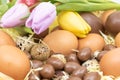 Close-up of Easter basket with various chicken, quail and chocolate eggs and tulips