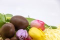 Graphic resource with text box, chocolate eggs and pastel tulips for Easter