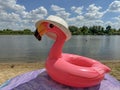 a bright inflatable pink flamingo on the beach in summer Royalty Free Stock Photo