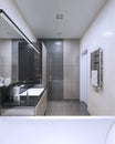 Bright interior of bathroom Royalty Free Stock Photo