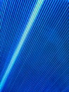 Bright intersecting rays of light of different colors. Fractal image of blue concentric ripples for a background. Directional