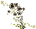 Bright joyful hand drawn spherical dandelions