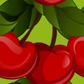 Bright jucy fresh cherry fruit vector. Cherries