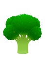 Bright juicy broccoli cartoon over white background