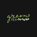 Bright juicy calligraphic retro style set of logo. Eco. Logotype for green tea.