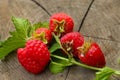 The bright, juicy and delightful berries of raspberry stationed oneself on a log