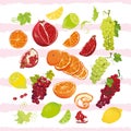 Bright juicy fruits vector design set