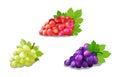 Bright and juicy grapes in a realistic style