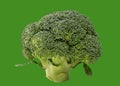 Bright juicy head of broccoli. Health, vitamins and proper nutrition. Isolated on a green, tree frog color background. Close-up Royalty Free Stock Photo