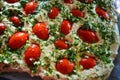 Preparation of raw dough for ciabattna with fresh pieces of red pardons, green dill and garlic.