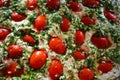 Preparation of raw dough for ciabattna with fresh pieces of red pardons, green dill and garlic.