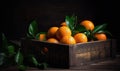 Bright and juicy mandarin oranges ready for eating Creating using generative AI tools