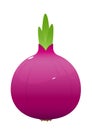 Bright juicy onion cartoon over white background Royalty Free Stock Photo