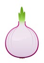 Bright juicy onion cartoon over white background Royalty Free Stock Photo