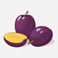 Bright juicy plum on grey background. Sweet delicious for your design in cartoon style. Vector illustration. Fruit