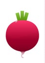 Bright juicy radish cartoon over white background