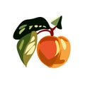 Bright, juicy ripe orange peach in the shape of a heart with leaves. Isolated vector illustration.On white background Royalty Free Stock Photo