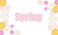 Bright juicy spring background with wild flowers