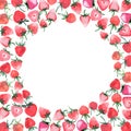 Bright juicy strawberries background with white circle watercolor hand sketch Royalty Free Stock Photo