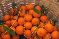 Bright juicy tangerines with leaves in a wicker basket. Golden g