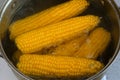 Bright juicy yellow corn, which is boiled in boiling water on the stove close-up. Delicious young sweet sugar corn. Summer healthy Royalty Free Stock Photo