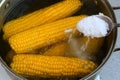 Bright juicy yellow corn, which is boiled in boiling water on the stove close-up. Delicious young sweet sugar corn. Summer healthy Royalty Free Stock Photo