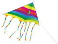 Bright kite