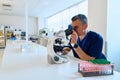 Microscopist examining samples in a modern laboratory during the afternoon Royalty Free Stock Photo