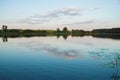 Bright lake with reeds forest and bridge at sunny summer day Royalty Free Stock Photo