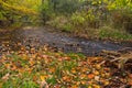 Bright Leaves & Running Water, Trout Creek, Ontario, Canada