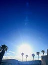 Bright lg White Sunburst Rays Blue Sky Scene over Structure Palm Trees Nature