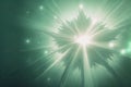 Bright light on green background or wallpaper, star leaf symbol with rays of light