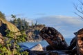 Bright lighthouse in pacific norhtwest overlooking pacific ocean