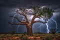 Bright lightning hit the tree Royalty Free Stock Photo