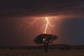 Bright lightning hit the tree Royalty Free Stock Photo