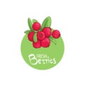 Bright lingonberry icon