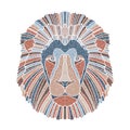 Bright lion portrait, zodiac Leo sign Royalty Free Stock Photo